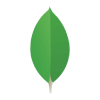 MongoDB Fundamentals and Use Cases